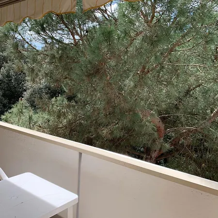 Beautifully Renovated Flat With Shared Pool *