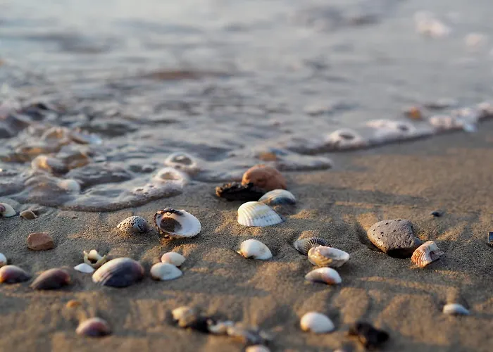 Apartament Beautifully Renovated Flat With Shared Pool Rosolina Mare